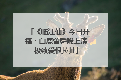 《临江仙》今日开播：白鹿曾舜晞上演极致爱恨拉扯
