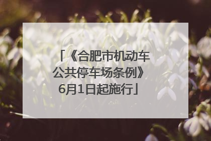 《合肥市机动车公共停车场条例》6月1日起施行