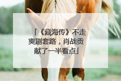 《藏海传》不走爽剧套路，肖战贡献了一半看点