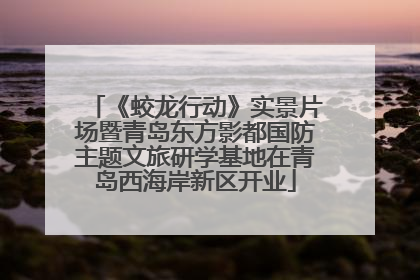 《蛟龙行动》实景片场暨青岛东方影都国防主题文旅研学基地在青岛西海岸新区开业
