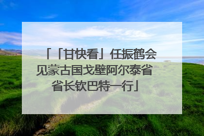 「甘快看」任振鹤会见蒙古国戈壁阿尔泰省省长钦巴特一行