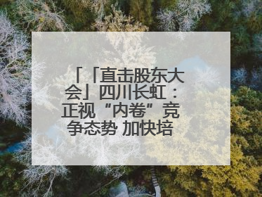 「直击股东大会」四川长虹：正视“内卷”竞争态势 加快培育发展新动能