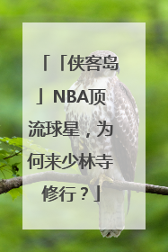「侠客岛」NBA顶流球星，为何来少林寺修行？