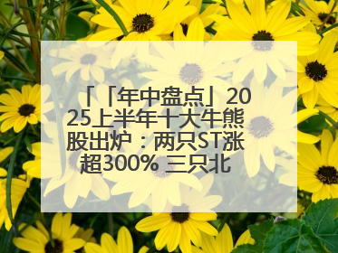 「年中盘点」2025上半年十大牛熊股出炉：两只ST涨超300% 三只北交所股挤进前十