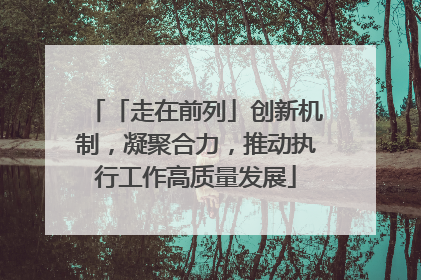 「走在前列」创新机制，凝聚合力，推动执行工作高质量发展