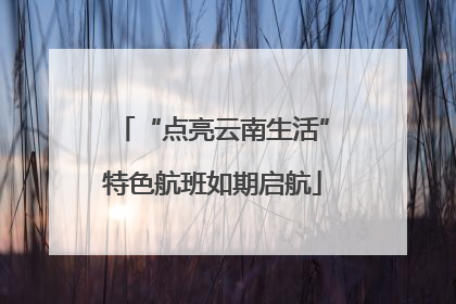 “点亮云南生活”特色航班如期启航