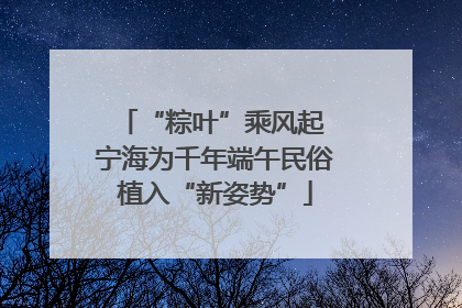 “粽叶”乘风起 宁海为千年端午民俗植入“新姿势”