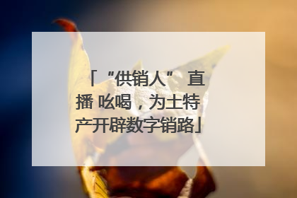 “供销人” 直播 吆喝，为土特产开辟数字销路