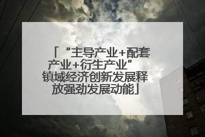 “主导产业+配套产业+衍生产业” 镇域经济创新发展释放强劲发展动能