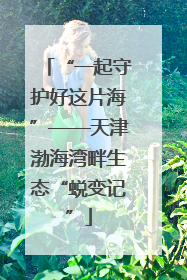 “一起守护好这片海”——天津渤海湾畔生态“蜕变记”