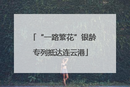 “一路繁花”银龄专列抵达连云港