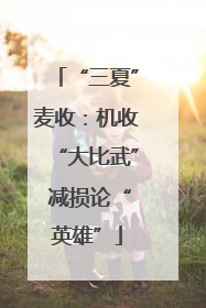 “三夏”麦收：机收“大比武” 减损论“英雄”