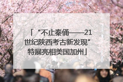 “不止秦俑——21世纪陕西考古新发现”特展亮相美国加州