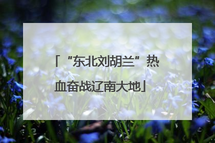 “东北刘胡兰”热血奋战辽南大地