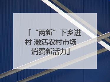 “两新”下乡进村 激活农村市场消费新活力