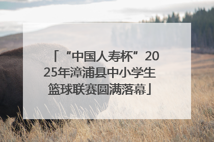 “中国人寿杯”2025年漳浦县中小学生篮球联赛圆满落幕