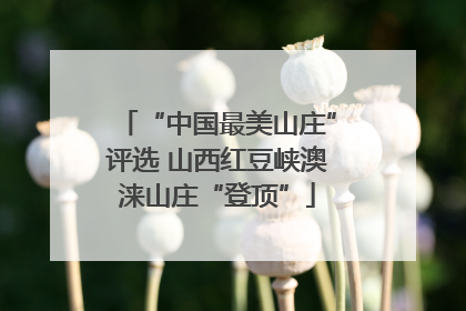 “中国最美山庄”评选 山西红豆峡澳涞山庄“登顶”
