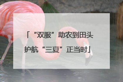 “双服”助农到田头 护航“三夏”正当时