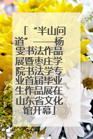 “半山问道”——杨雯书法作品展暨枣庄学院书法学专业首届毕业生作品展在山东省文化馆开幕