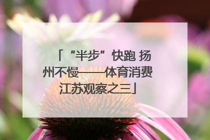 “半步”快跑 扬州不慢——体育消费江苏观察之三