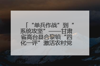 “单兵作战”到“系统攻坚”——甘肃省高台县合黎镇“四化一评”激活农村党员管理新引擎
