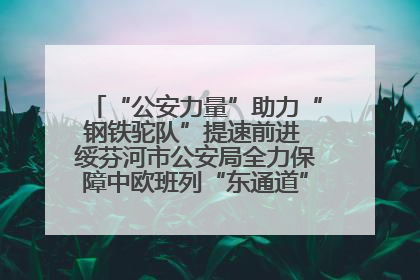 “公安力量”助力“钢铁驼队”提速前进 绥芬河市公安局全力保障中欧班列“东通道”绥芬河隧道贯通