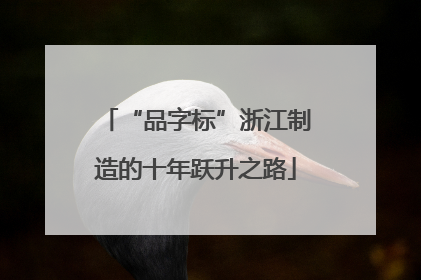 “品字标”浙江制造的十年跃升之路