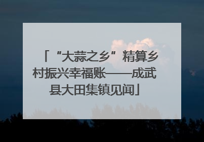 “大蒜之乡”精算乡村振兴幸福账——成武县大田集镇见闻