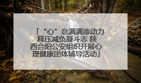 “心”意满满添动力 释压减负凝斗志 陕西合阳公安组织开展心理健康团体辅导活动