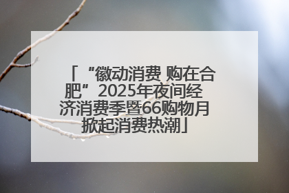 “徽动消费 购在合肥”2025年夜间经济消费季暨66购物月掀起消费热潮