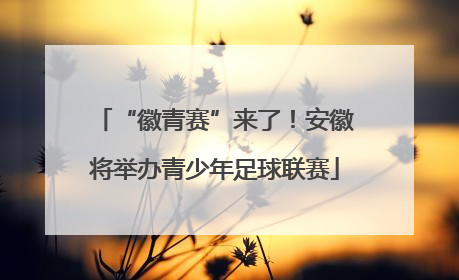 “徽青赛”来了！安徽将举办青少年足球联赛