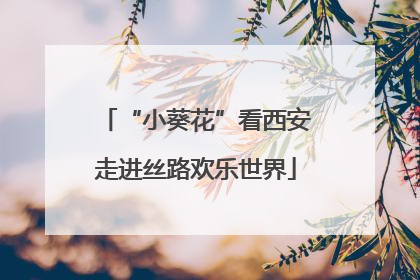 “小葵花”看西安走进丝路欢乐世界