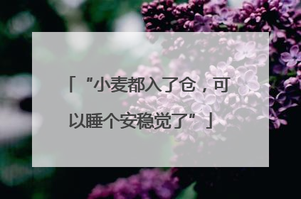 “小麦都入了仓，可以睡个安稳觉了”