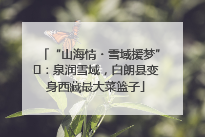 “山海情・雪域援梦”⑪：泉润雪域，白朗县变身西藏最大菜篮子