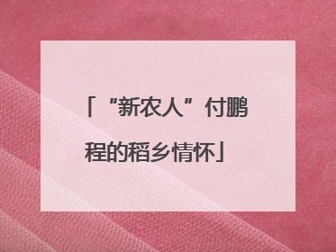 “新农人”付鹏程的稻乡情怀