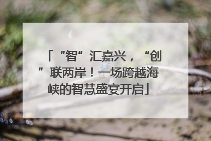 “智”汇嘉兴，“创”联两岸！一场跨越海峡的智慧盛宴开启