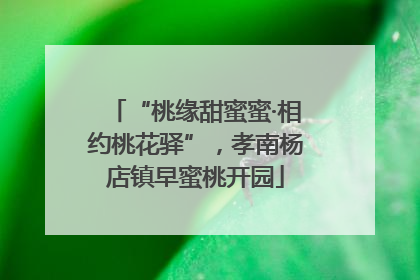 “桃缘甜蜜蜜·相约桃花驿”，孝南杨店镇早蜜桃开园