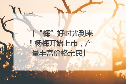 “梅”好时光到来！杨梅开始上市，产量丰富价格亲民