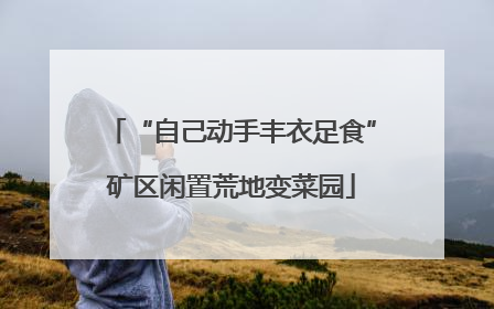 “自己动手丰衣足食”矿区闲置荒地变菜园