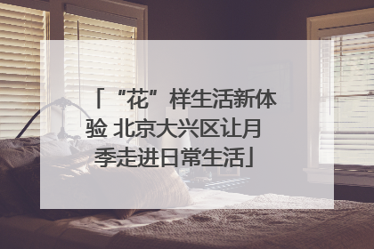 “花”样生活新体验 北京大兴区让月季走进日常生活