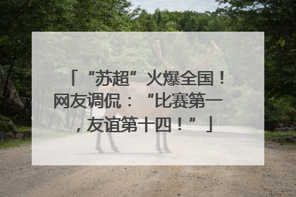 “苏超”火爆全国！网友调侃：“比赛第一，友谊第十四！”