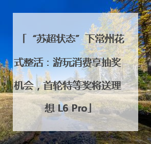 “苏超状态”下常州花式整活：游玩消费享抽奖机会，首轮特等奖将送理想 L6 Pro