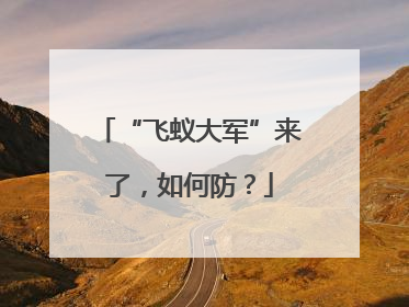 “飞蚁大军”来了，如何防？