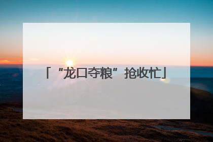 “龙口夺粮”抢收忙