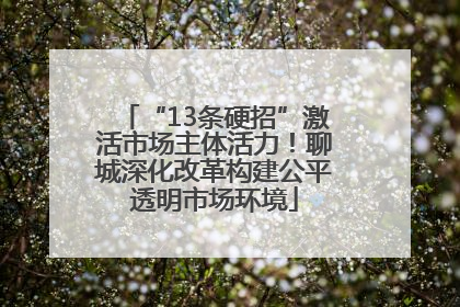 “13条硬招”激活市场主体活力！聊城深化改革构建公平透明市场环境