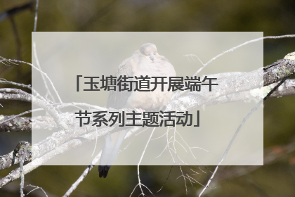 玉塘街道开展端午节系列主题活动