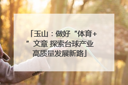 玉山：做好“体育+”文章 探索台球产业高质量发展新路
