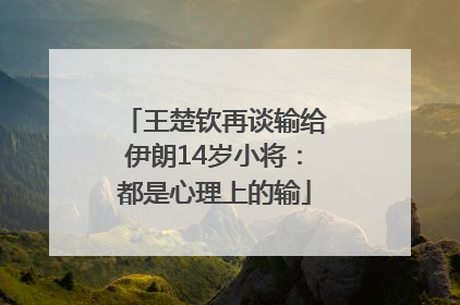 王楚钦再谈输给伊朗14岁小将：都是心理上的输