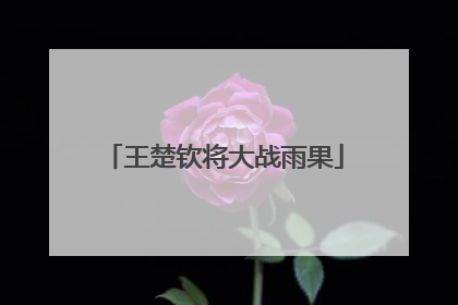 王楚钦将大战雨果