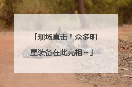 现场直击！众多明星装备在此亮相～